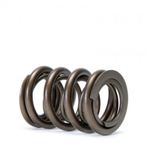 Acura Integra Valve Springs - Skunk2 Racing - Alpha Series Dual Springs - `94-`01 Acura Integra Valve Springs - Skunk2 Racing - Alpha Series Dual Springs - `94-`01